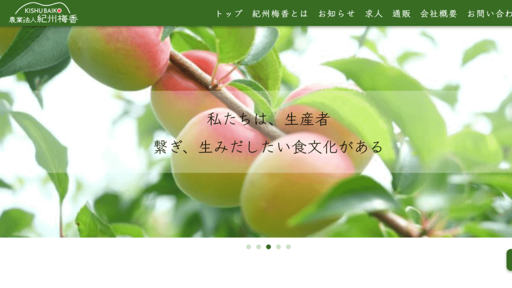 紀州梅香「むてんか食堂」減塩つぶれ梅