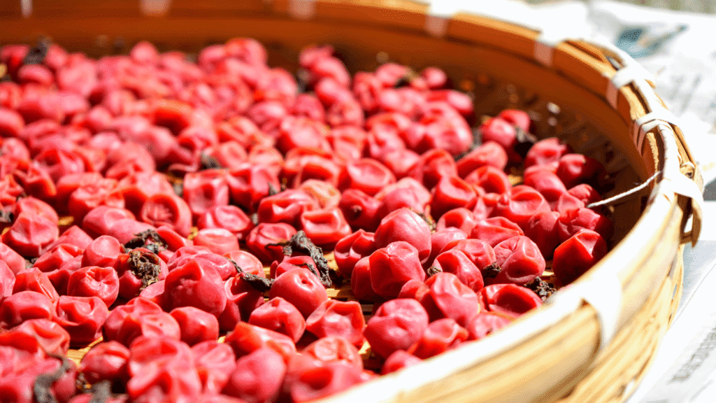 梅干しに含まれる主な栄養素